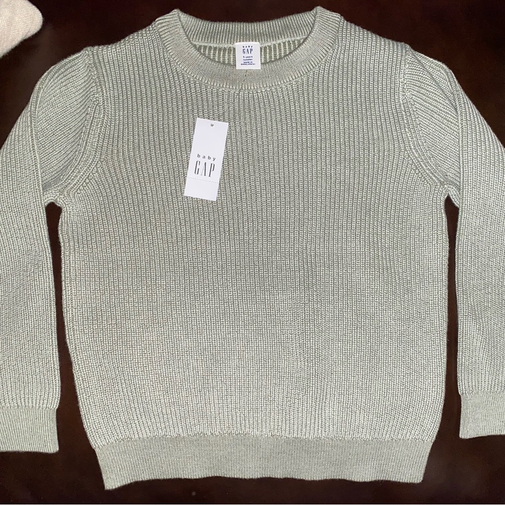 GAP Ribbed Crewneck Sweater in Sage Green